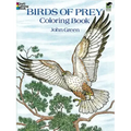 Birds of Prey Coloring Book