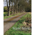 Stane Street: From Chichester to London