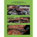 A Field Guide to the Geckos of Northern Territory