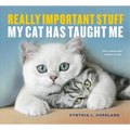 Really Important Stuff My Cat Has Taught Me