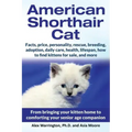American Shorthair Cat: From bringing your kitten home to comforting your senior age companion