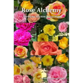 Rose Alchemy: The Reiki Seichim Integration