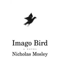 Imago Bird