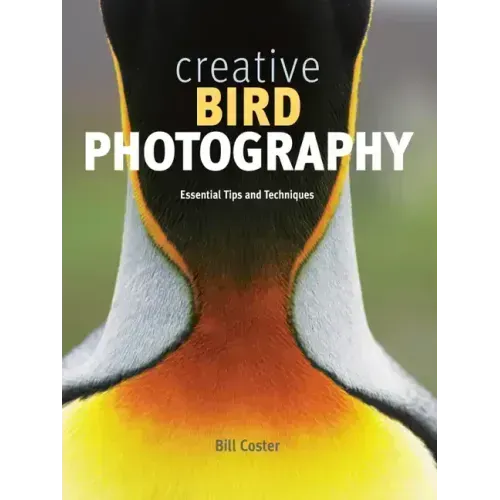 Creative Bird Photography: Essential Tips and Techniques