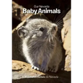 Our Nevada: Baby Animals