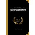Anatomische Untersuchungen über die Stämme der Begoniaceen