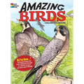 Amazing Birds Coloring Book