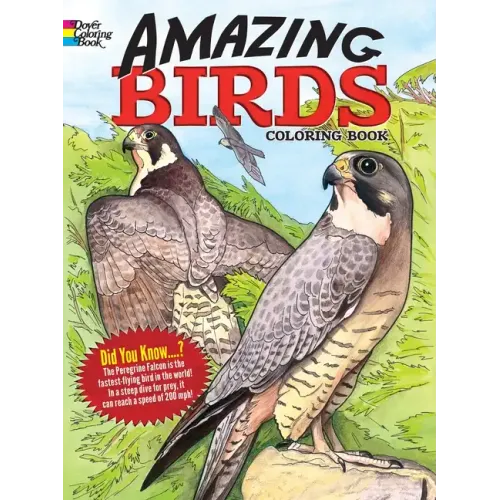 Amazing Birds Coloring Book