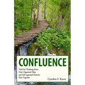 Confluence: Tools for Thinking about How Organized Plans and Self-organized Patterns Flow Together