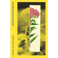 Milkweed Smithereens