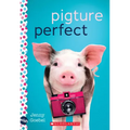 Pigture Perfect: A Wish Novel