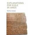 Explanations for Exile in Amos