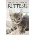The Picture Book of Kittens: A Gift Book for Alzheimer's Patients or Seniors with Dementia