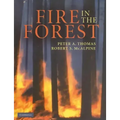 Fire in the Forest