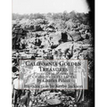 California Golden Treasures: Placer Gold Mining in California in the 1850's