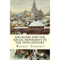 Socialism and the Social Movement in the 19th Century