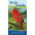 Birds of the South: Your Way to Easily Identify Backyard Birds