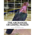 The Archangel or Gimpel Pigeon: Pigeon Breeds Book 8