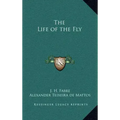 The Life of the Fly
