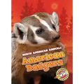 American Badgers
