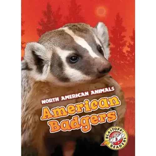 American Badgers