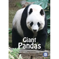 Pandas