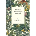 A Picture Dictionary of Flowers