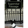 Superstar Passage: The Reincarnation of Karen Carpenter