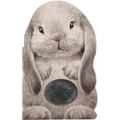 Furry Bunny