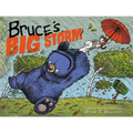 Bruce's Big Storm