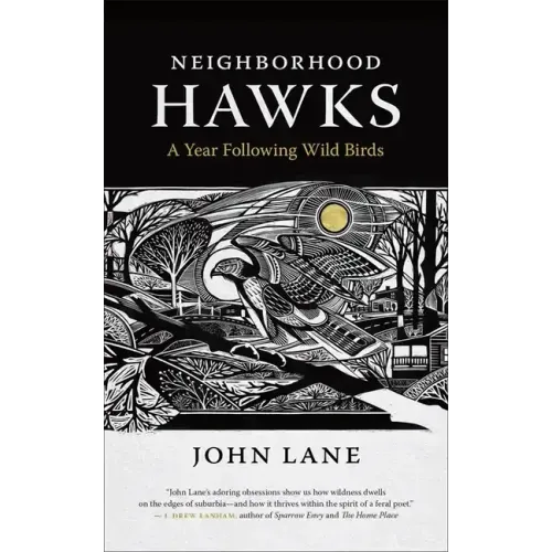 Neighborhood Hawks: A Year Following Wild Birds