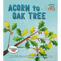Acorn to Oak Tree