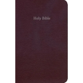 Gift & Award Bible-Ceb
