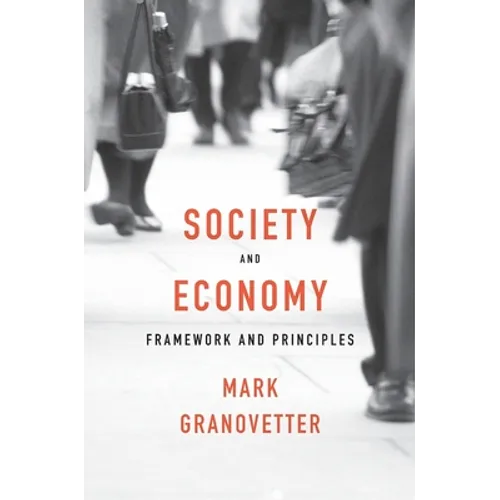 Society and Economy: Framework and Principles