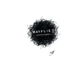 Mayflies