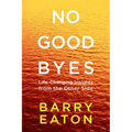 No Goodbyes: Life-Changing Insights from the Other Side