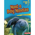 Meet a Baby Manatee