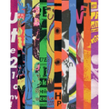 Graphic Design of Scheld'apen