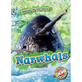 Narwhals