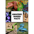 Amazing Snakes Facts: Fun Facts about Snakes Guaranteed to Blow Your Mind