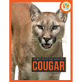 Cougar