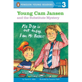 Young CAM Jansen and the Substitute Mystery