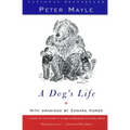 A Dog's Life