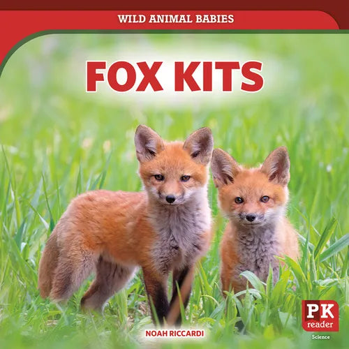 Fox Kits