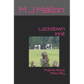 Lockdown Innit: Poems About Absurdity