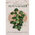 Mini Guide to Caring for Hoya Kerrii