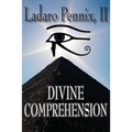 Divine Comprehension
