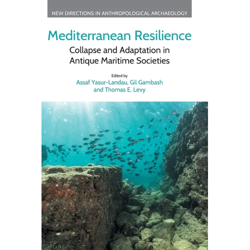 Mediterranean Resilience: Collapse and Adaptation in Antique Maritime Societies