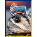 El Payara