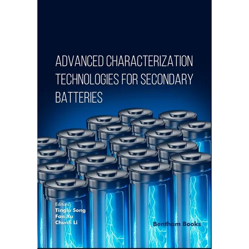 Advanced Characterization Technologies for Secondary Batteries